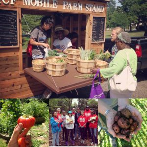 Photo of youth serving seniors in a farm stand