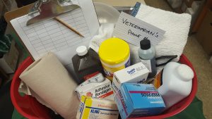 Photo of basket of stuff.