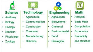 STEM learning animal science 