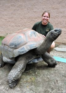 Zoo Keeper with tortoise