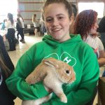 photo 4-H member with a rabbit