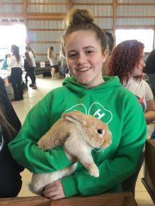 photo 4-H member with a rabbit