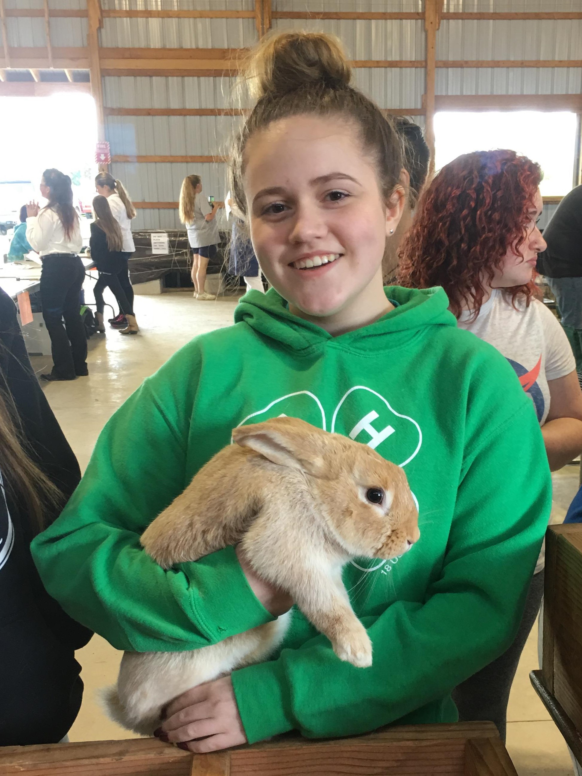 Multiplying Learning, Rabbit Style…4H Rabbit Project Curriculum 4H