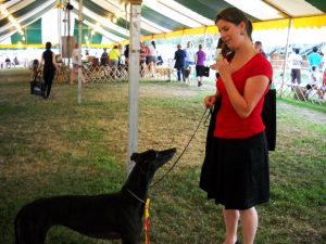 Photo of person showing dog