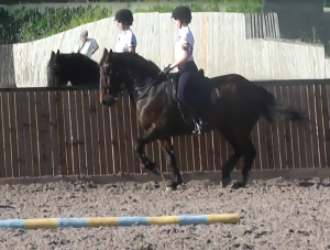 Trainer with horse 