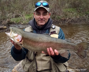 fisherman holding large rainbow trout