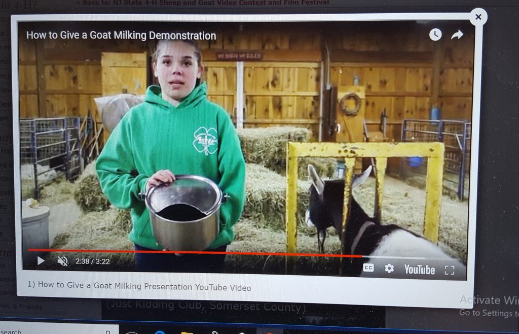 4-H member holding a milking bucket next to a goat