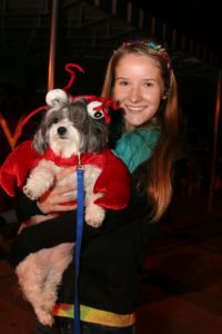 Dog ready for costume contest.