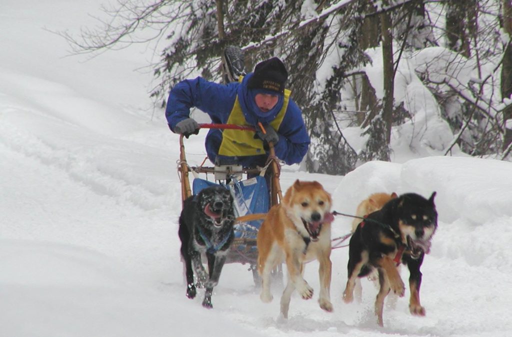 Young dog sled competitor.