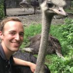 Wild animal keeper smiling and touch a ostrich