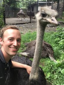 Wild animal keeper smiling and touch a ostrich