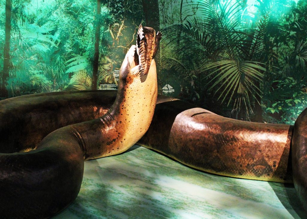 extinct reptiles dinosaurs