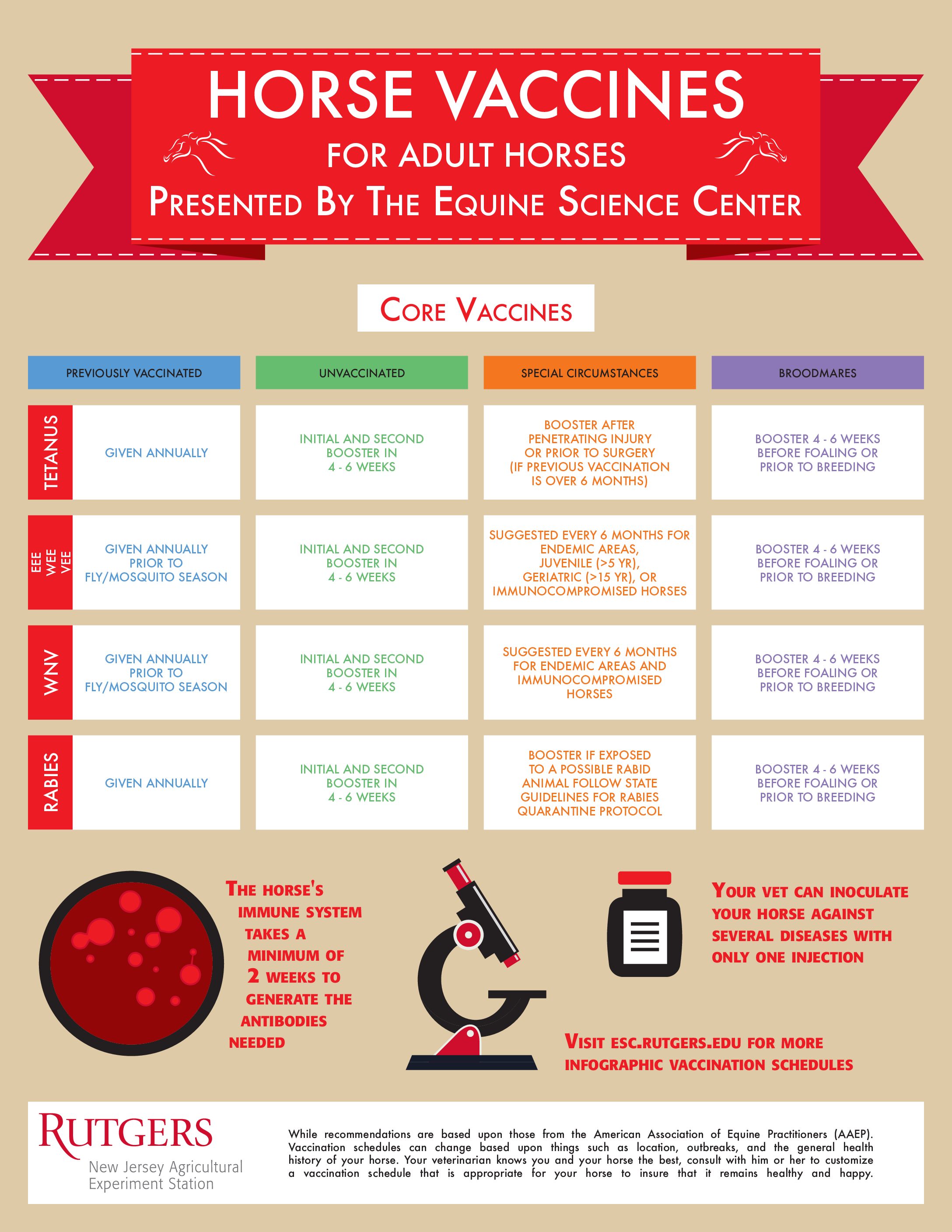 vaccination-schedule-for-horses-home-design-ideas