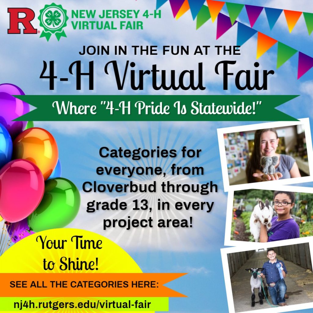 4H Entries for Statewide Virtual Fair!