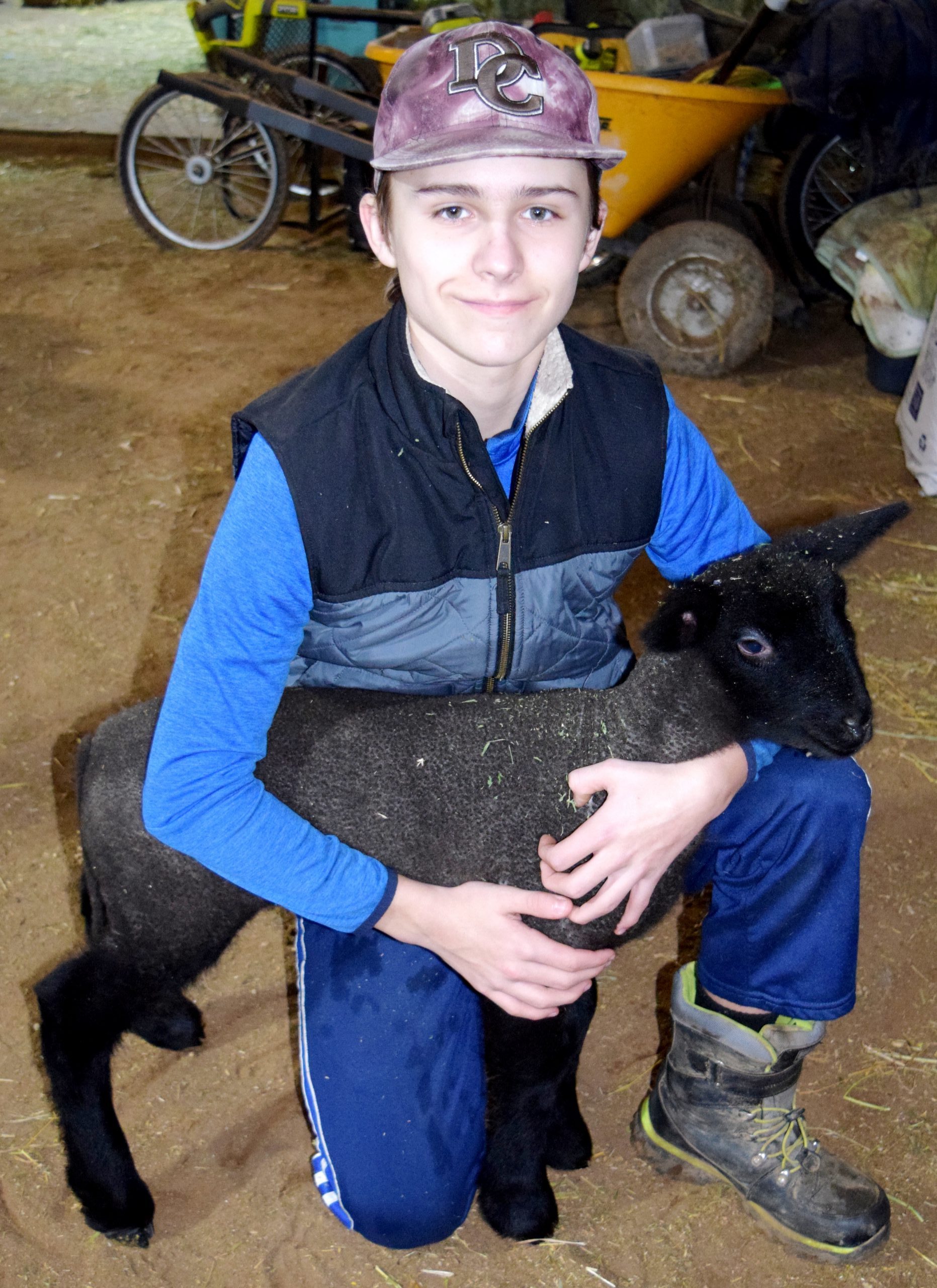 4-H member with 3-week old lamb