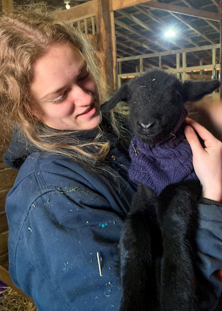 Female 4-H member holds lamb wearing sweater