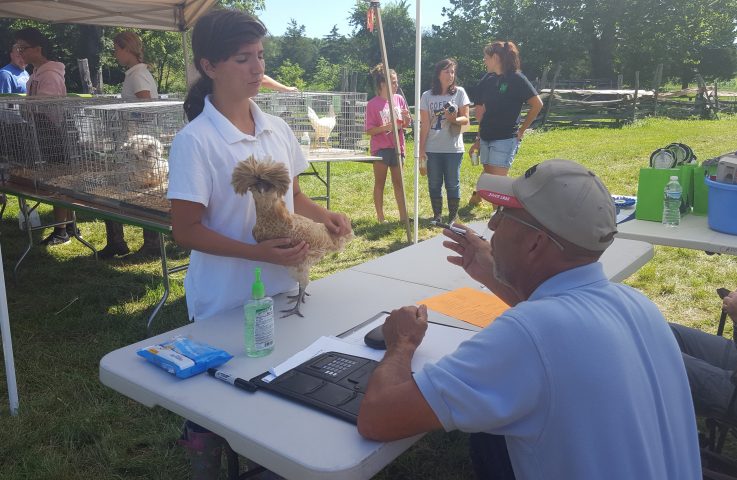 Mercer 4-H Invitational Poultry Show – July 31