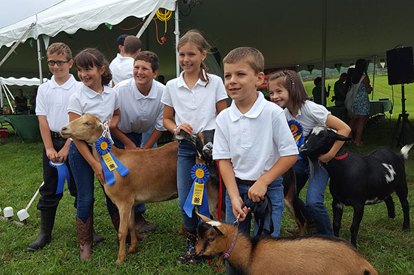 Mercer County 4-H Fair-Kids with Goats and Ribbons