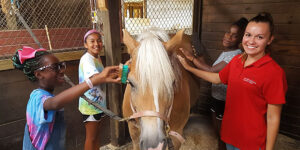Several 4-H'ers and an adult brushing a horse in a stable.